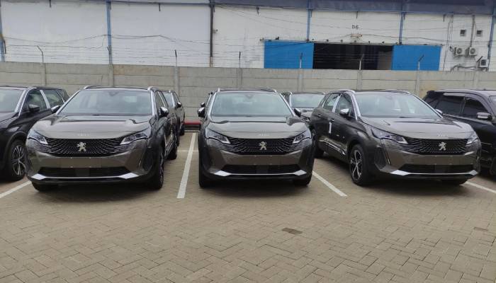 Peugeot 3008 Amazonite Grey