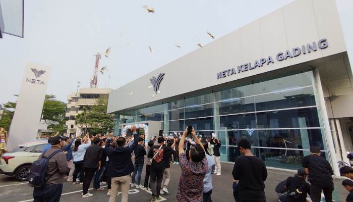 Diler Neta Kelapa Gading