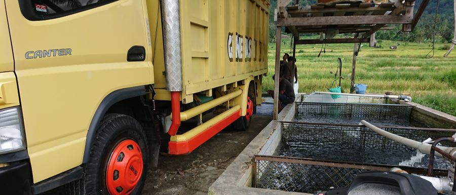 truk fuso pengusaha ikan bukittinggi