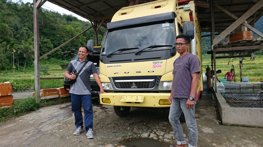 pengusaha ikan fuso