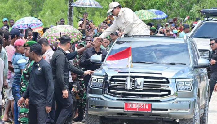 gwm tank 500 presiden