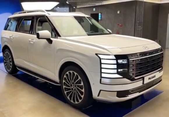 Hyundai Palisade Highroof