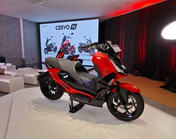Alva Cervo X